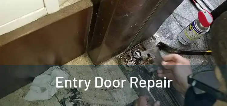 Entry Door Repair